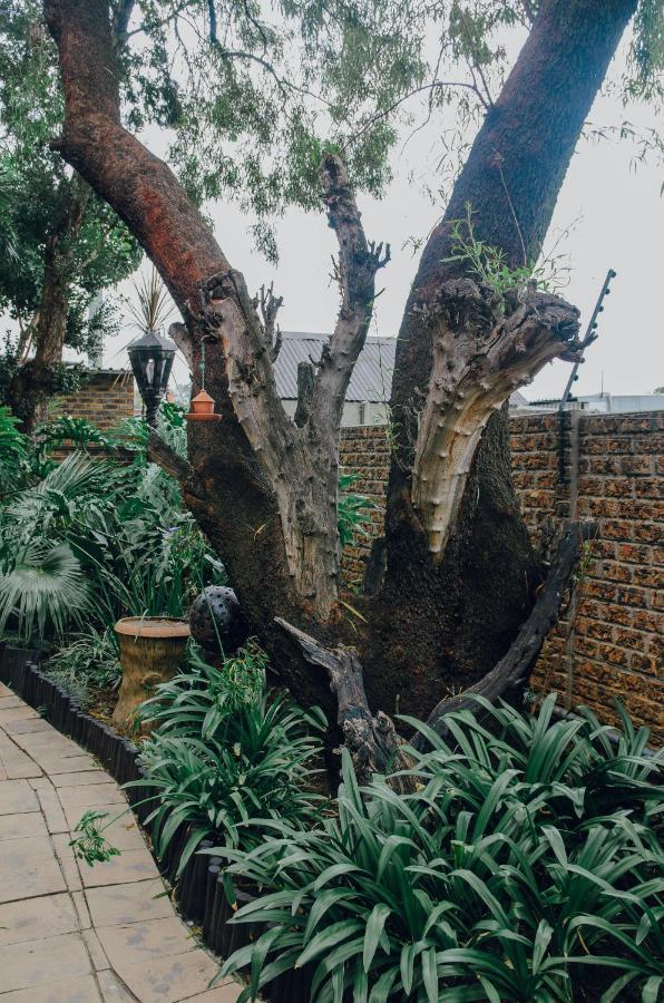 Towers Lodge Boksburg Eksteriør billede